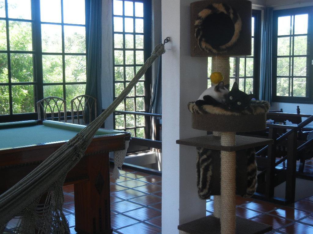 The Cats' House Hotel Florianópolis Exterior foto