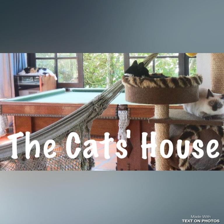 The Cats' House Hotel Florianópolis Exterior foto